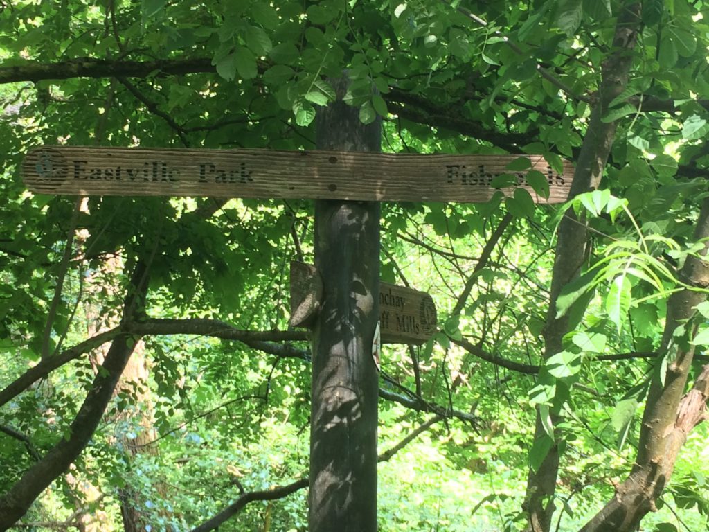 wooden signs to eastville park and fishponds