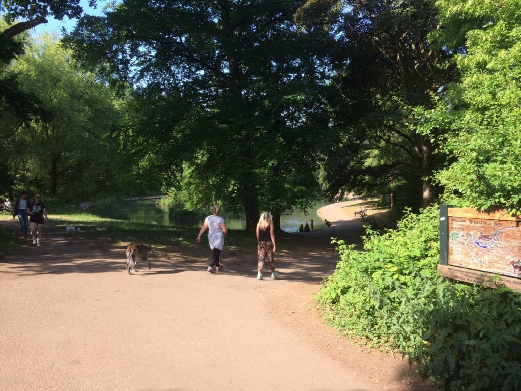 people walking on path near water